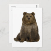 ブラウンベアツリーズダブル露出はがき ポストカード (正面/裏面)