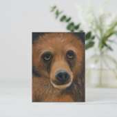 ブラウンベアポストカード ポストカード (スタンド正面)