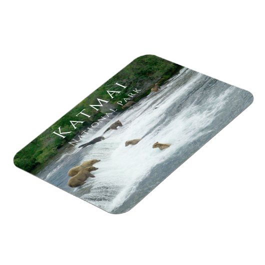 ブラウンベアーズ魚釣りカトマイナショナルパークマグネット マグネット (左側)