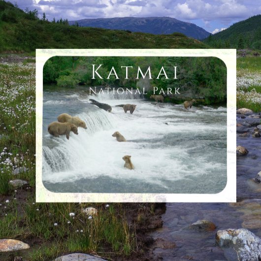 ブラウンベアーズ魚釣りカトマイナショナルパークマグネット マグネット