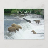 ブラウンベアーズ魚釣りブルックス秋カトマイNPPアラスカ ポストカード (正面)