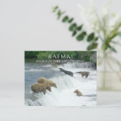 ブラウンベアーズ魚釣りブルックス秋カトマイNPPアラスカ ポストカード (スタンド正面)