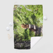 ブラウンベアーファミリー ゴルフタオル (インサイチュ)