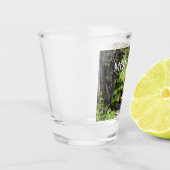 ブラウンベアーファミリー ショットグラス (左)