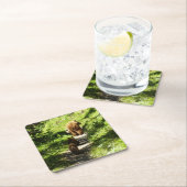 ブラウンベアーファミリー スクエアペーパーコースター (インサイチュ)