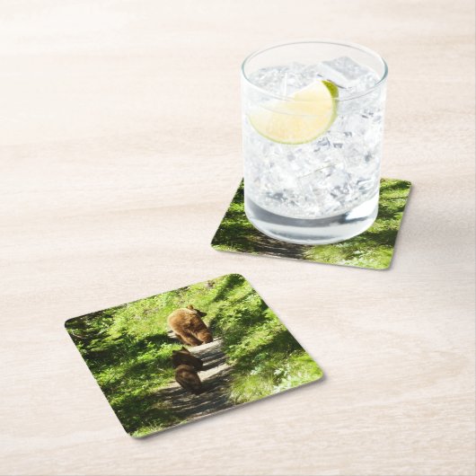 ブラウンベアーファミリー スクエアペーパーコースター (インサイチュ)