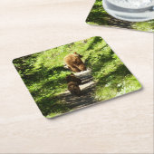 ブラウンベアーファミリー スクエアペーパーコースター (アングル)