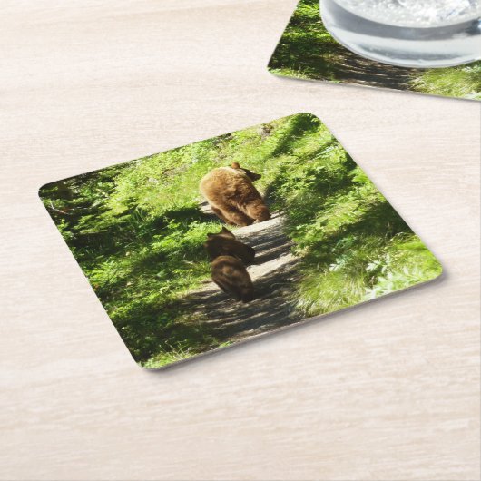 ブラウンベアーファミリー スクエアペーパーコースター (アングル)