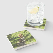 ブラウンベアーファミリー ストーンコースター (横)