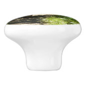 ブラウンベアーファミリー セラミックノブ (側面)