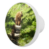 ブラウンベアーファミリー セラミックノブ (右)