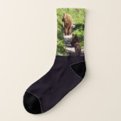 ブラウンベアーファミリー ソックス (左外側)