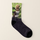 ブラウンベアーファミリー ソックス (右外側)