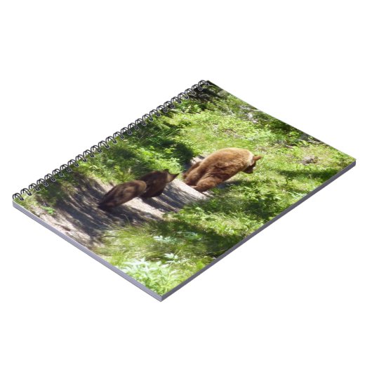 ブラウンベアーファミリー ノートブック (左側)