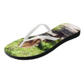 ブラウンベアーファミリー ビーチサンダル (アングル)