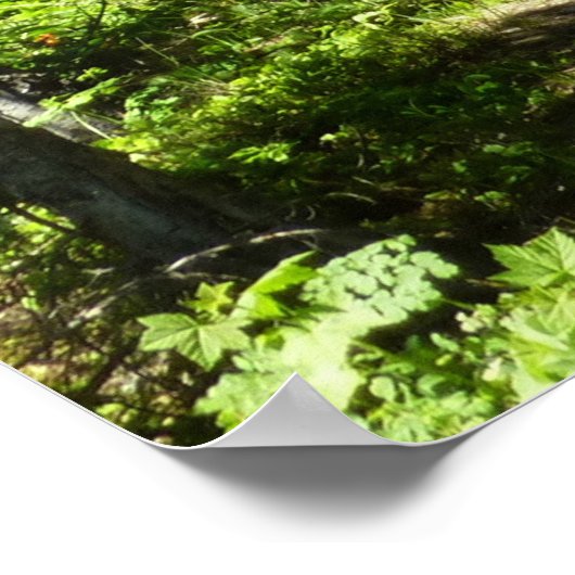 ブラウンベアーファミリー ポスター (角)