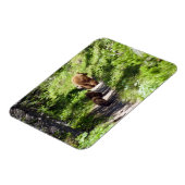 ブラウンベアーファミリー マグネット (左側)