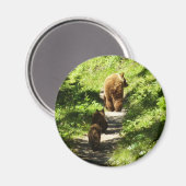 ブラウンベアーファミリー マグネット (正面/裏面)