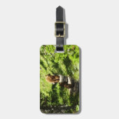 ブラウンベアーファミリー ラゲッジタグ (正面縦)