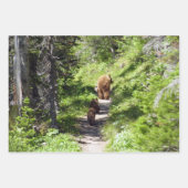 ブラウンベアーファミリー ラッピングペーパーシート (正面3)