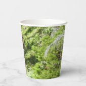 ブラウンベアーファミリー 紙コップ (裏面)