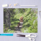 ブラウンベアーファミリー 薄葉紙 (クラフト)