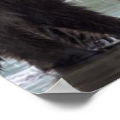 ブラウンベアー |クラーク湖国立公園 ポスター (角)