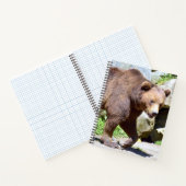 ブラウンベア歩くはがき ノートブック (内部)