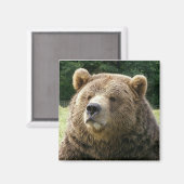 ブラウンベア磁石 マグネット (正面/裏面)