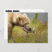 ブラウンベア食べ物のサーモン ポストカード (正面/裏面)