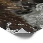 ブラウンベア、または沿岸のグリズリーベア、ウルサス ポスター (角)