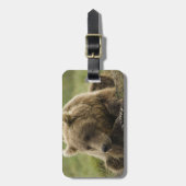 ブラウンベア、または沿岸のグリズリーベア、ウルサス ラゲッジタグ (正面縦)