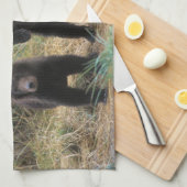 ブラウンベア，アークトス，グリズリーベア，ウルス7 2 キッチンタオル (四つ折り)