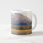 ブラウンベア、ウルソスのアークトス、グリズリーベア、ウルソス ジャンボコーヒーマグカップ (正面右)