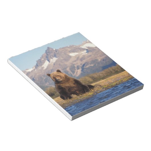 ブラウンベア、ウルソスのアークトス、グリズリーベア、ウルソス ノートパッド (アングル)