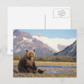 ブラウンベア、ウルソスのアークトス、グリズリーベア、ウルソス ポストカード (正面/裏面)