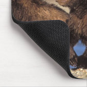 ブラウンベア、ウルソスのアークトス、グリズリーベア、ウルソス マウスパッド (コーナー)