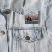 ブラウンベア、ウルソスのアークトス、グリズリーベア、ウルソス 缶バッジ (インサイチュ)