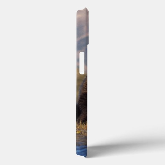 ブラウンベア、ウルソスのアークトス、グリズリーベア、ウルソス Case-Mate iPhoneケース (裏面 / 右)