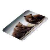 ブラウンベア・カブス・バイ・ザ・ストリーム マグネット (左側)