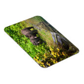 ブラウンベア&カブ |アラスカ，ハイダー マグネット (右側)