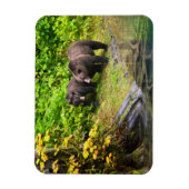 ブラウンベア&カブ |アラスカ，ハイダー マグネット (縦)