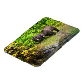 ブラウンベア&カブ |アラスカ，ハイダー マグネット (左側)