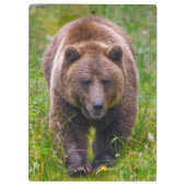 ブラウンベア クリップボード (裏面)