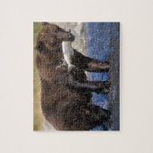 ブラウンベア、グリズリーベア、サーモンのキャッチ。 ジグソーパズル (縦)