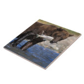 ブラウンベア、グリズリーベア、サーモンのキャッチ。 タイル (側面)