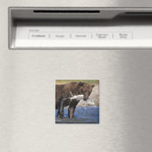 ブラウンベア、グリズリーベア、サーモンのキャッチ。 マグネット (インサイチュ (食洗機))