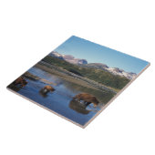 ブラウンベア、グリズリーベア、播種と切り身 タイル (側面)