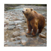 ブラウンベア タイル (正面)