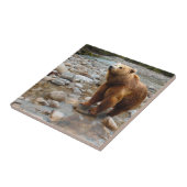 ブラウンベア タイル (側面)